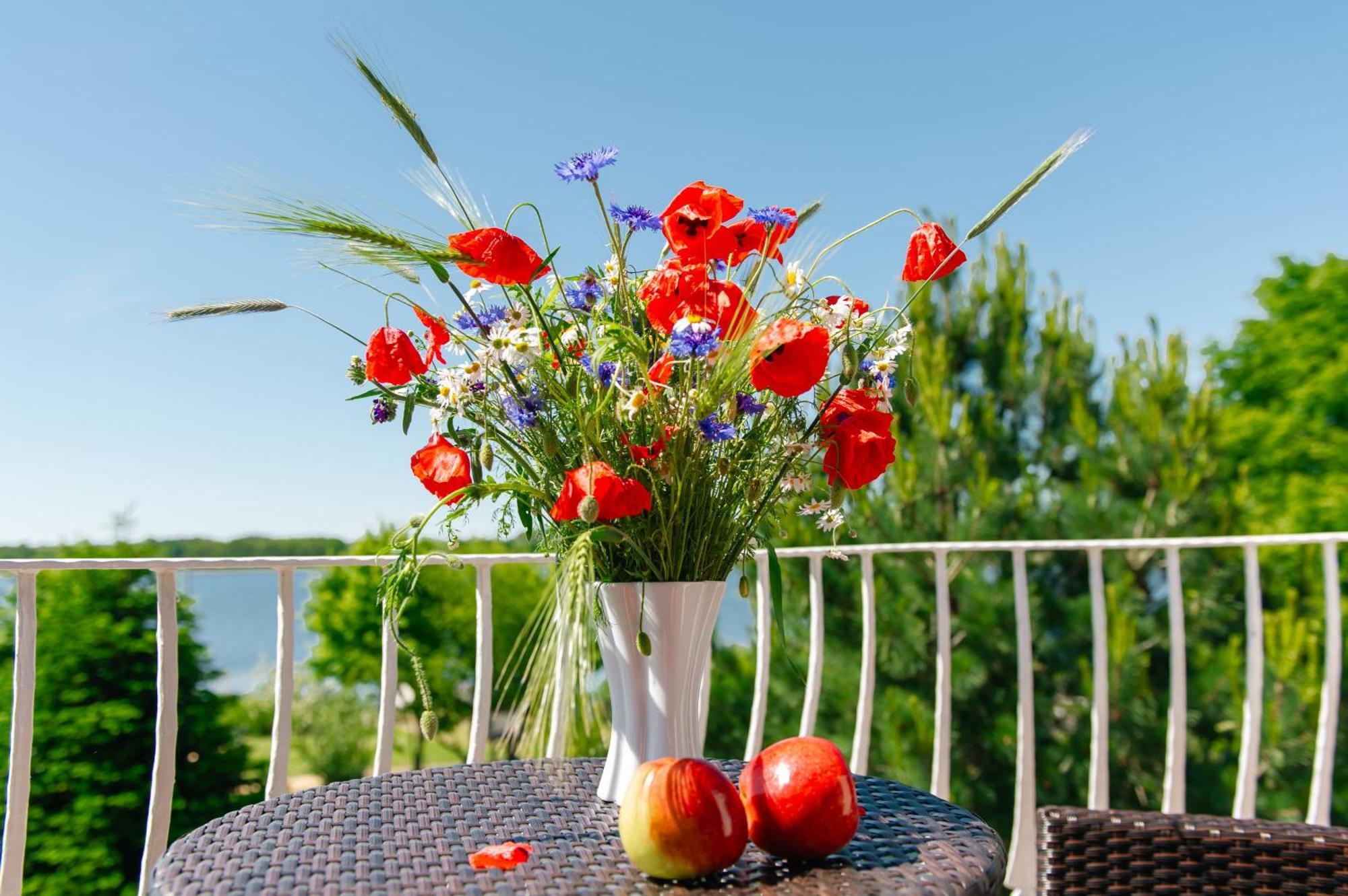 Selliner Ferienappartements Mit Balkon Und Seeblick Exterior foto